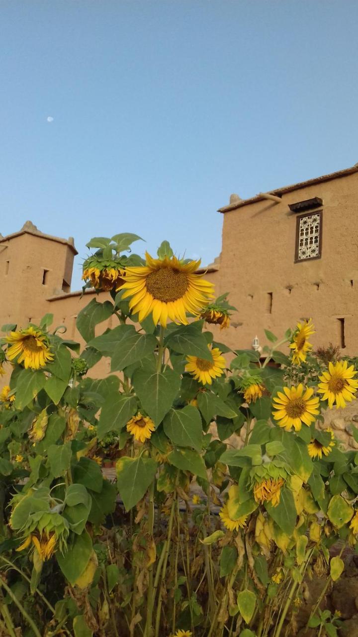 Kasbah Izoran Midelt Exterior foto