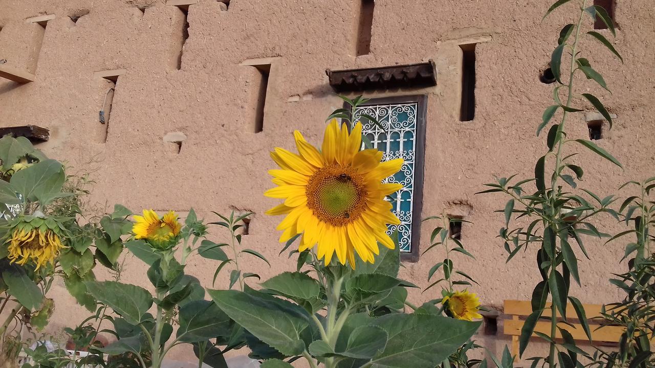 Kasbah Izoran Midelt Exterior foto